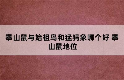 攀山鼠与始祖鸟和猛犸象哪个好 攀山鼠地位